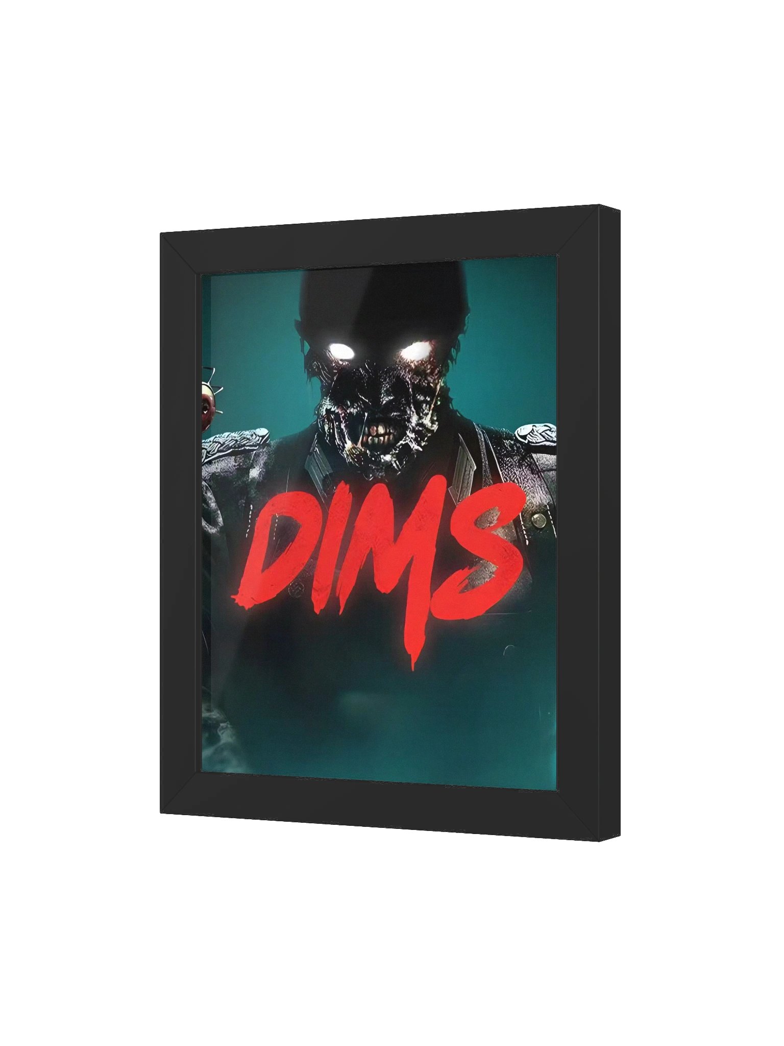 Cadre DIMS product image (6)