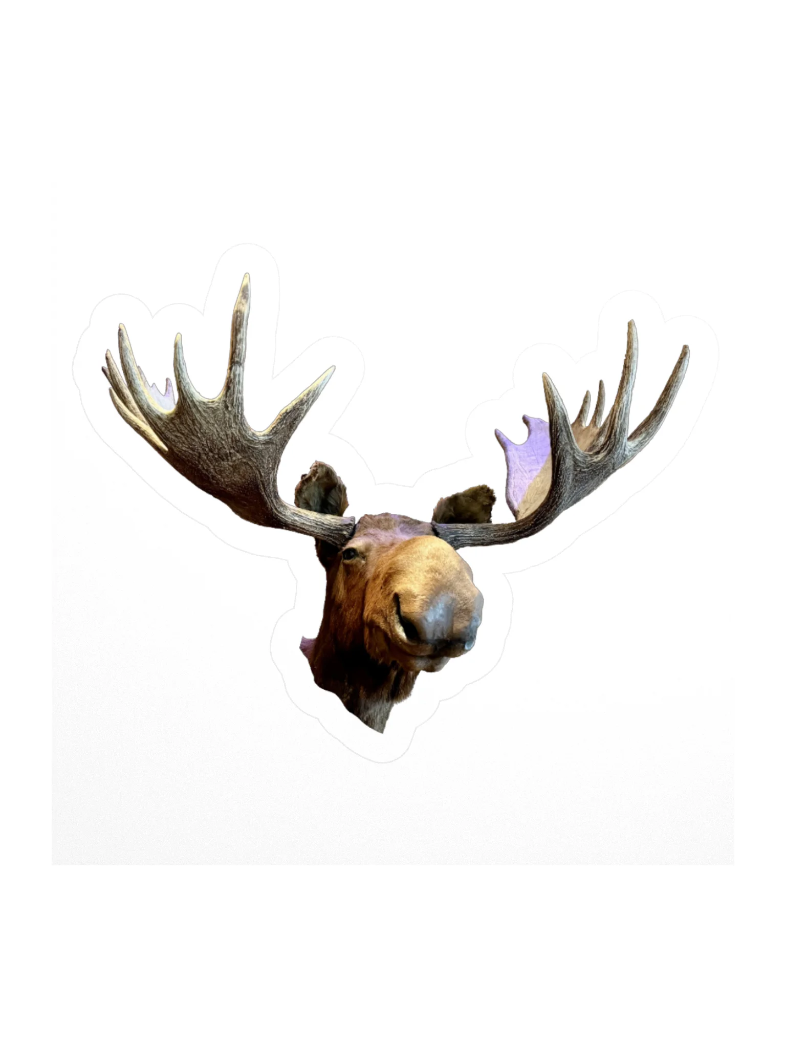 Bruce the Moose Kiss-Cut Sticker product image (1)