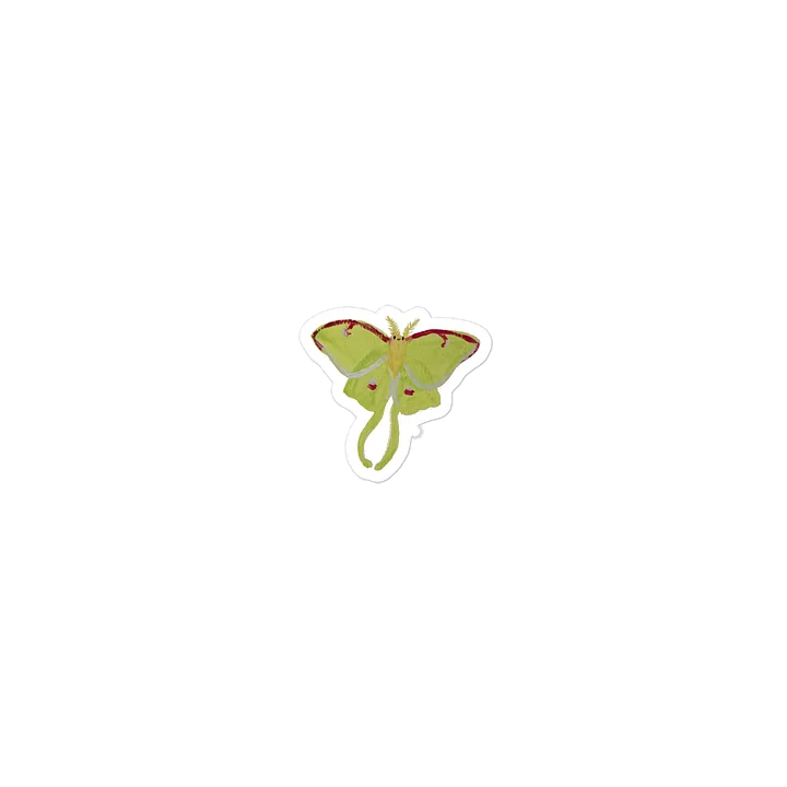 Sticky Bugs - Lunar Moth product image (1)