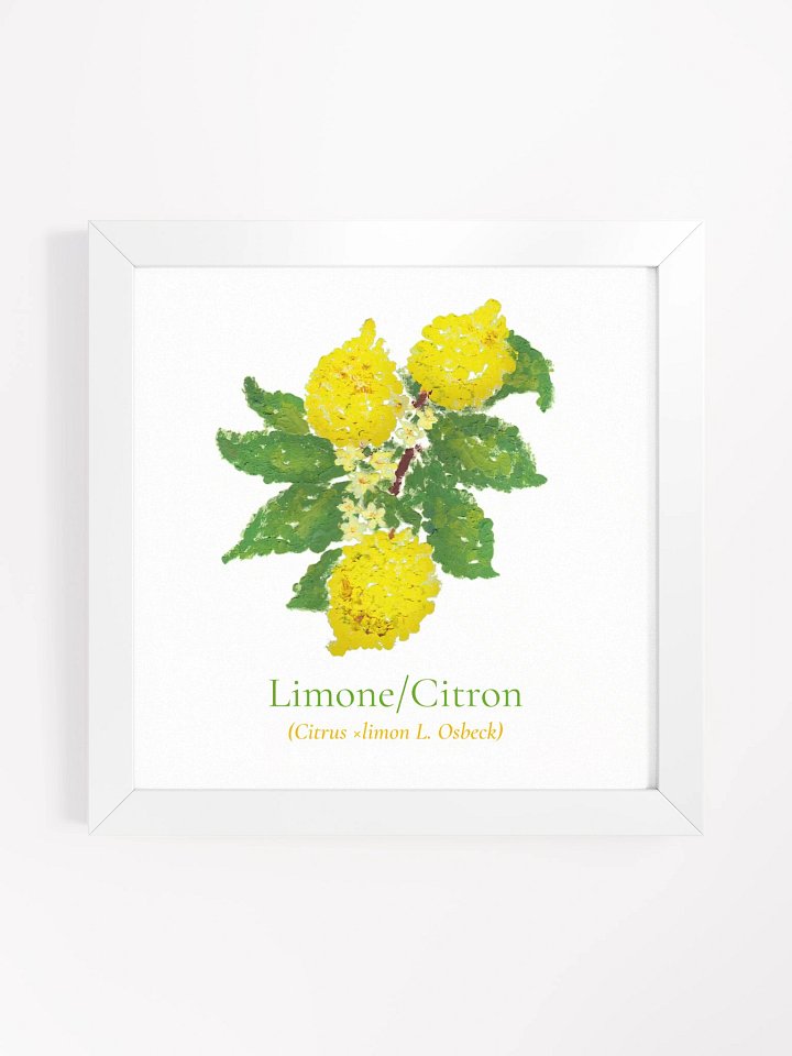 Limoni Botanicus Frame product image (1)