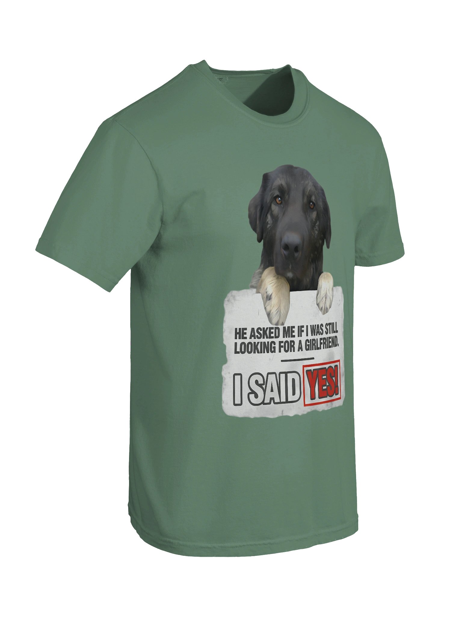 Funny Quote T-Shirt with Dog Design | Best Single Guy's Gift product image (9)