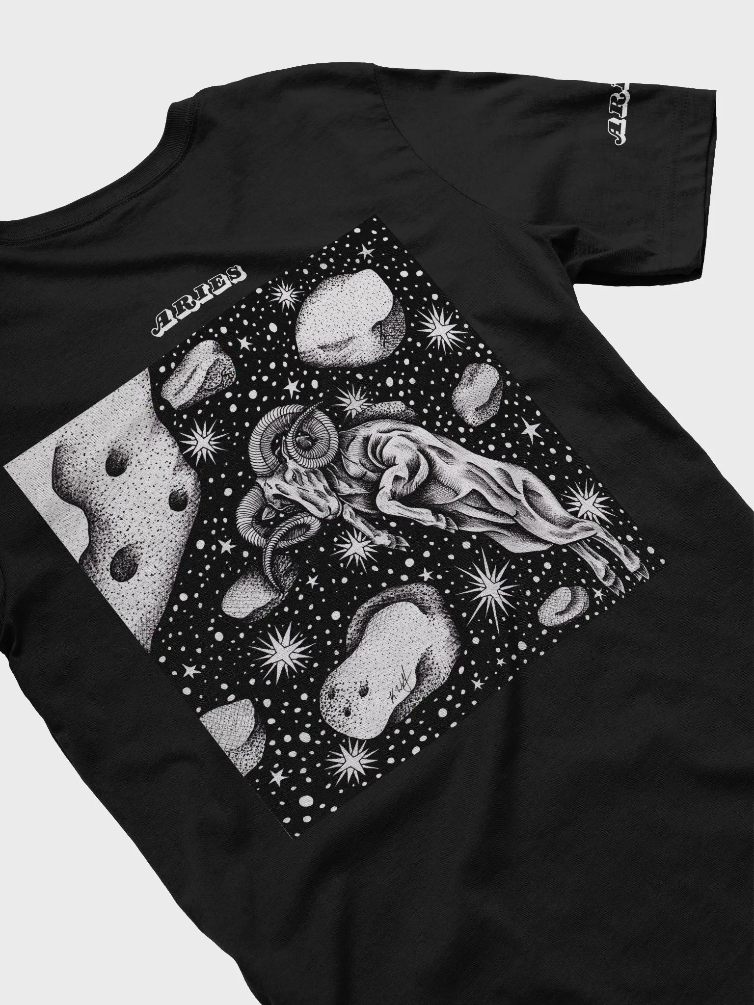 Aries Zodiac Unisex T-Shirt product image (4)