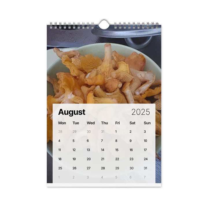 Golden Harvest: 2025 Mushroom Wall Calendar product image (2)
