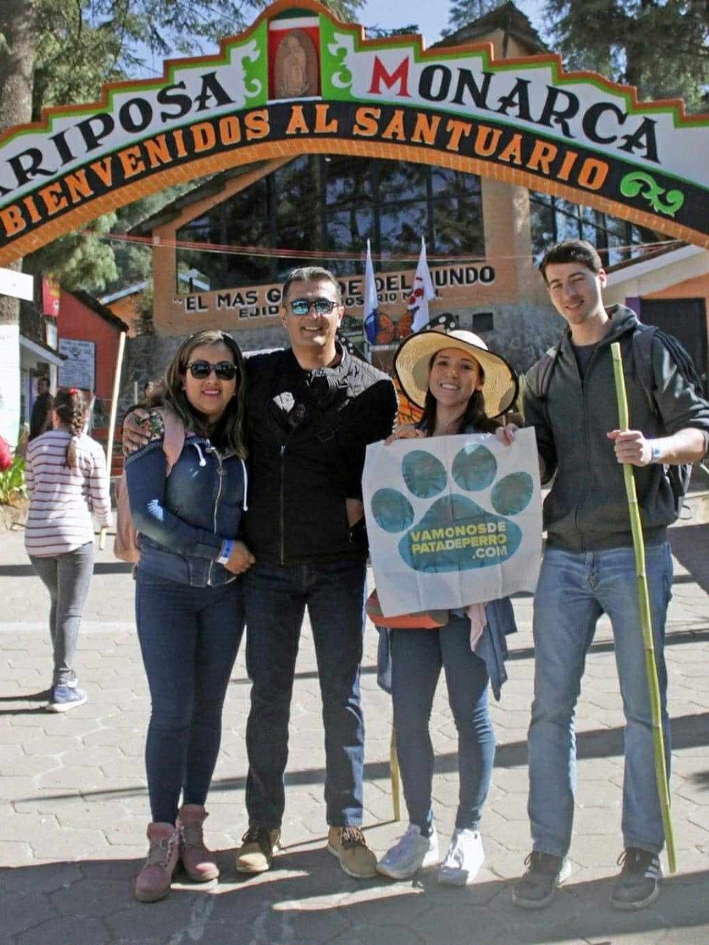 Tour al Santuario de la Mariposa Monarca desde la CDMX product image (1)