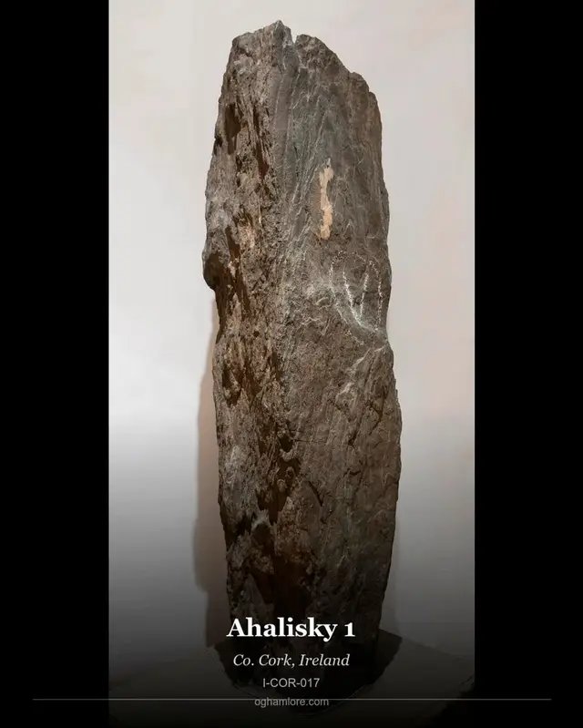 Ogham Stone: Achadh Loiscthe | Ahalisky 1 Uncovering the ancient world, one stone at a time. Meet the Achadh Loiscthe | Ahalisky 1 ogham stone - Found in 1841 by Zachariah Hawkes and John Windele in a souterrain (CO122-049002-) located in the northern half of a rath (CO122-049001-), one of six known raths in the townland, at least three of... Explore its full story at OghamLore.com #Ogham #Ireland #Eire #Gaeilge #History