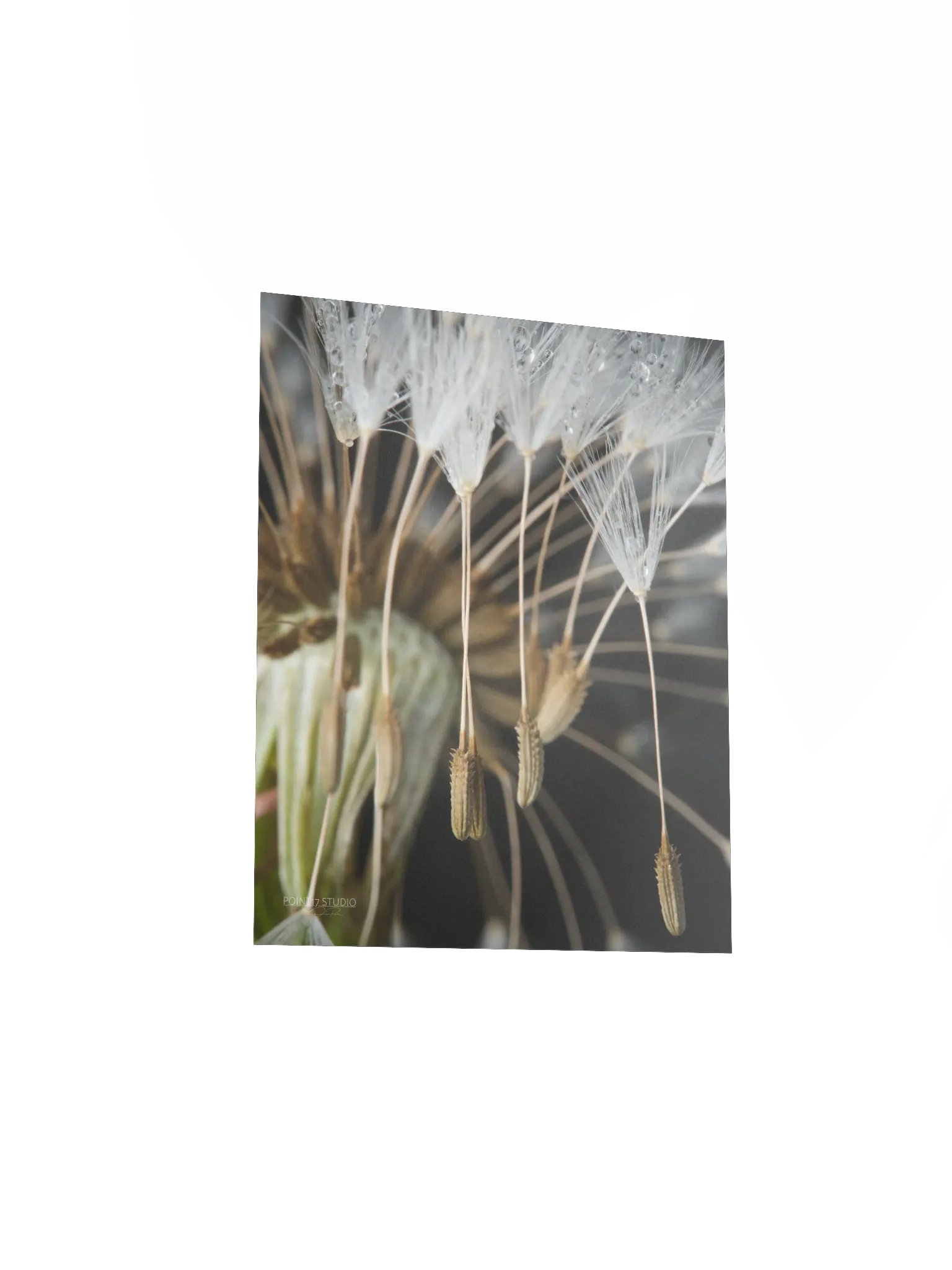 Rapture - Poster product image (5)