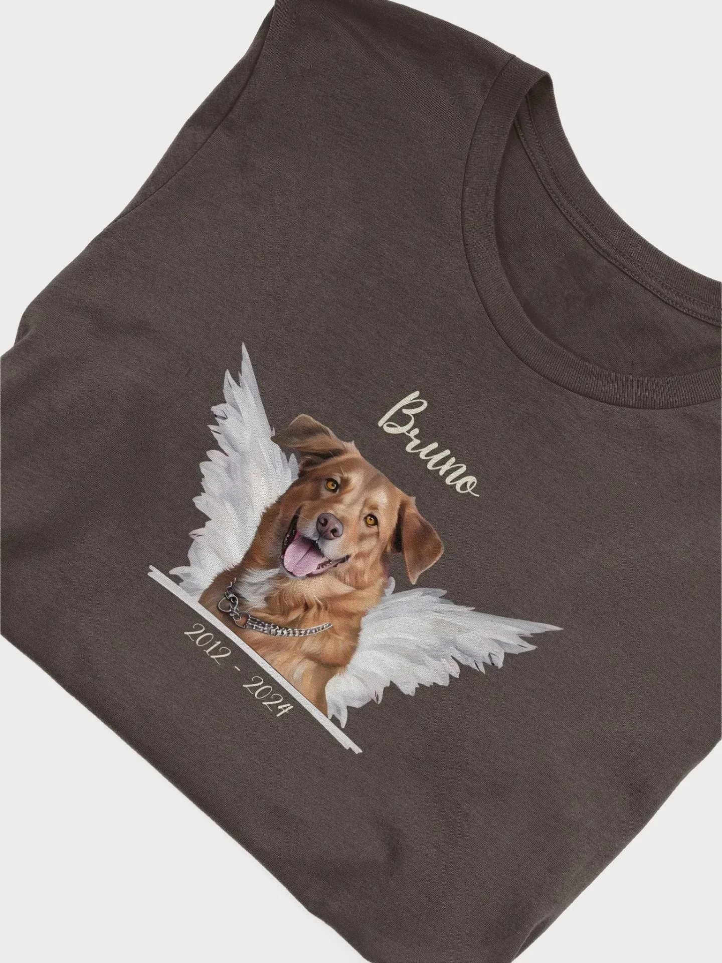 Custom Oil Painting Style Pet Portrait T-Shirt product image (17)