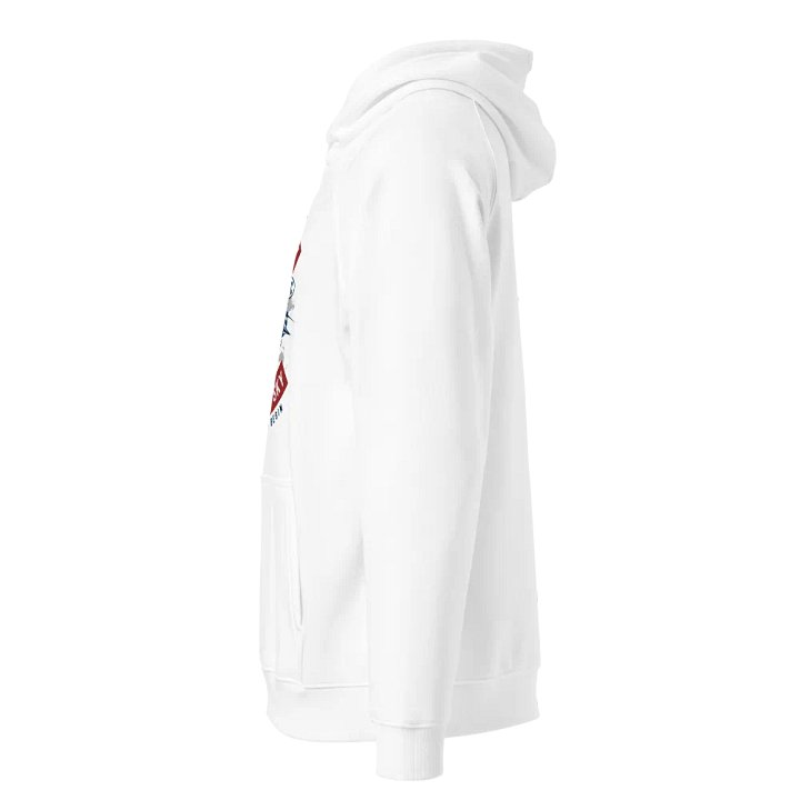 Skyward Soar Vintage Biplane Hoodie product image (2)