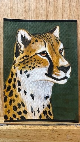 I just added a new item to eBay, ACEO Original Cheetah African Cat Acrylic 