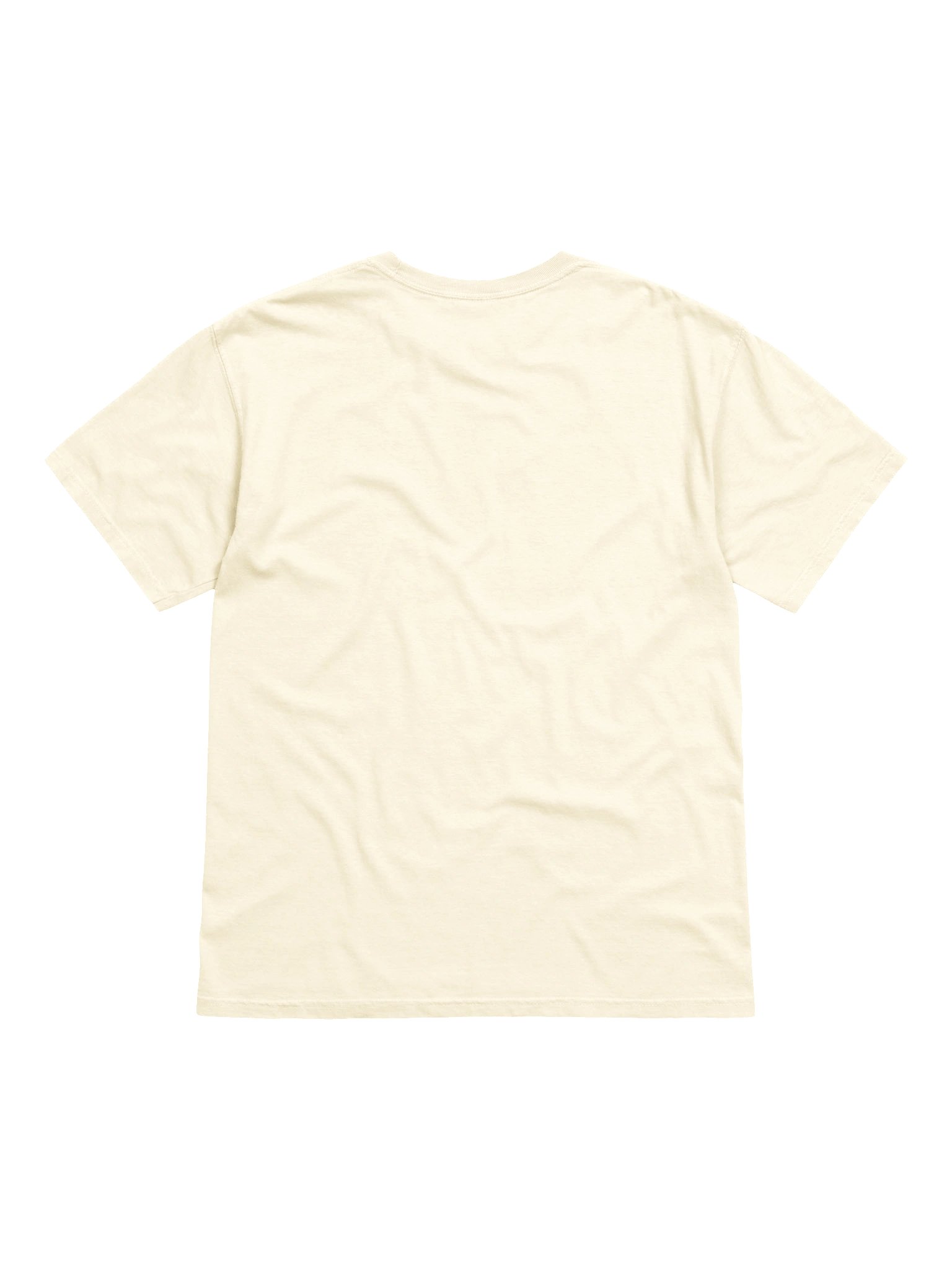 Squeeze the Day Orange Tee product image (2)
