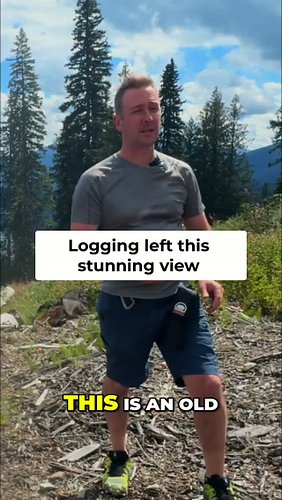 If you keep driving past Kinbasket Lake Resort and head up the forestry road, you eventually reach a rough old cutblock looko...