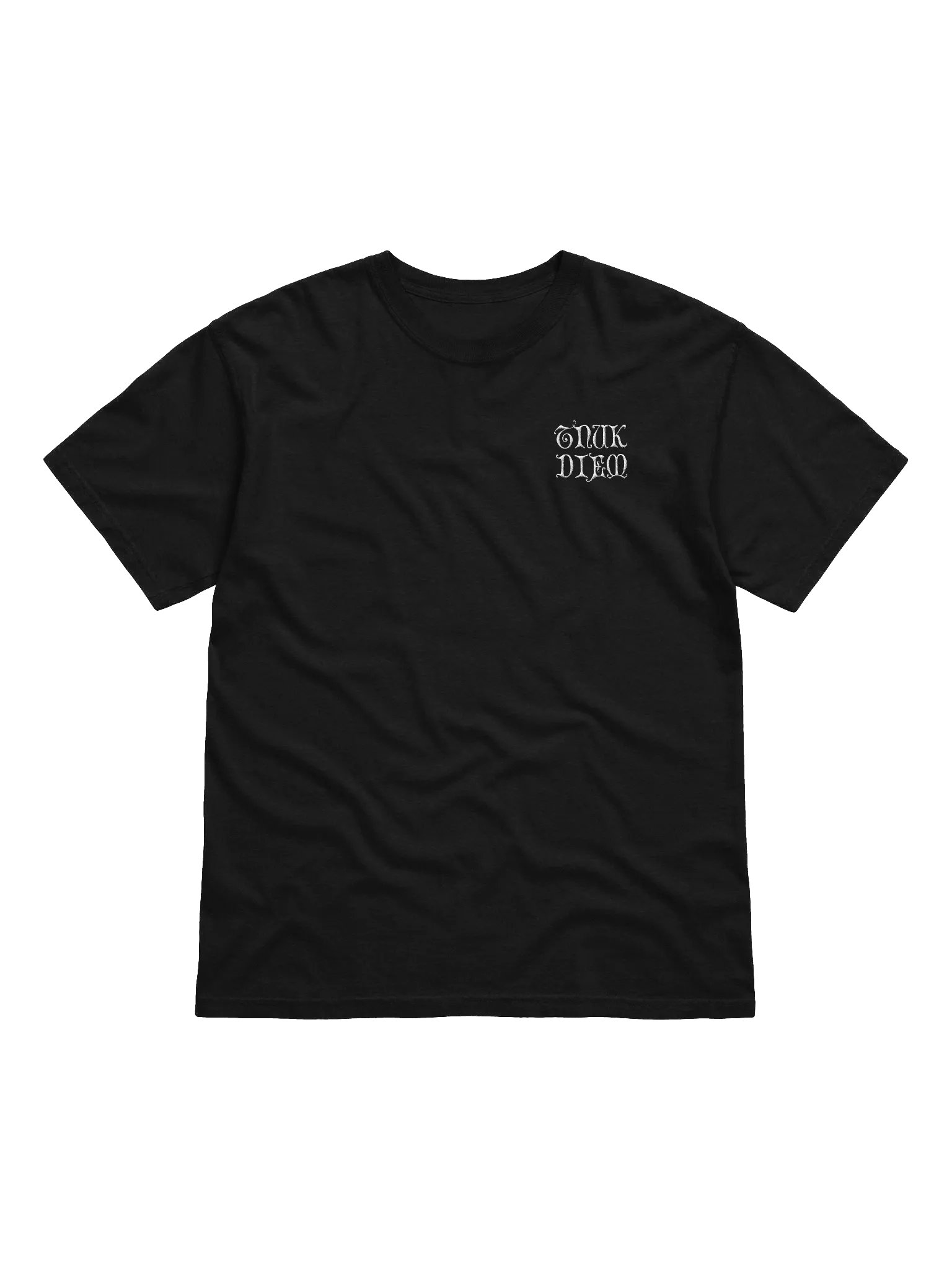 TNUK DIEM ˢᵐᵃˡˡ - HEAVYWEIGHT T-SHIRT product image (4)