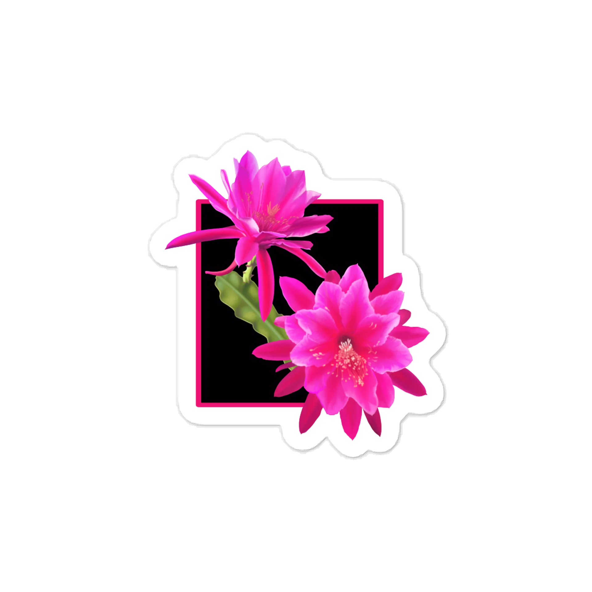 Pink Queen of the Night Cactus Vinyl Decal – Krita Airbrush Orchid Flower Sticker product image (1)