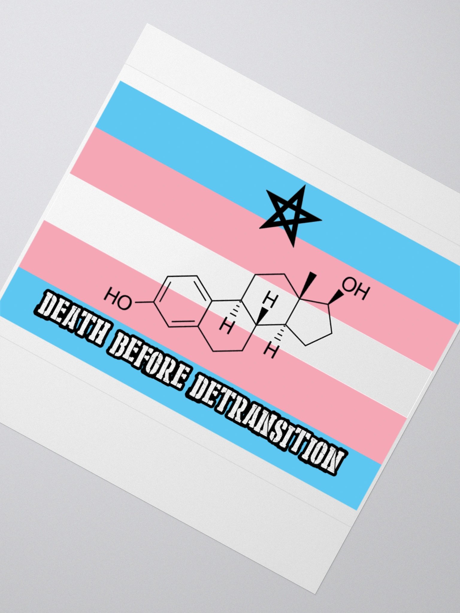 Death Before Detransition (E, sticker edition) product image (2)