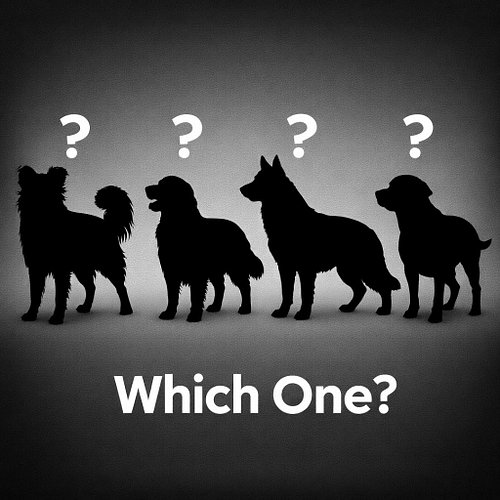 Every breed has incredible qualities.

But some dogs are just not for everyone.

What breed do you love… but wouldn’t recomme...