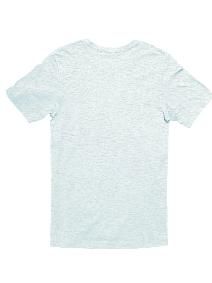 Discernment is key T Shirt product image (32)