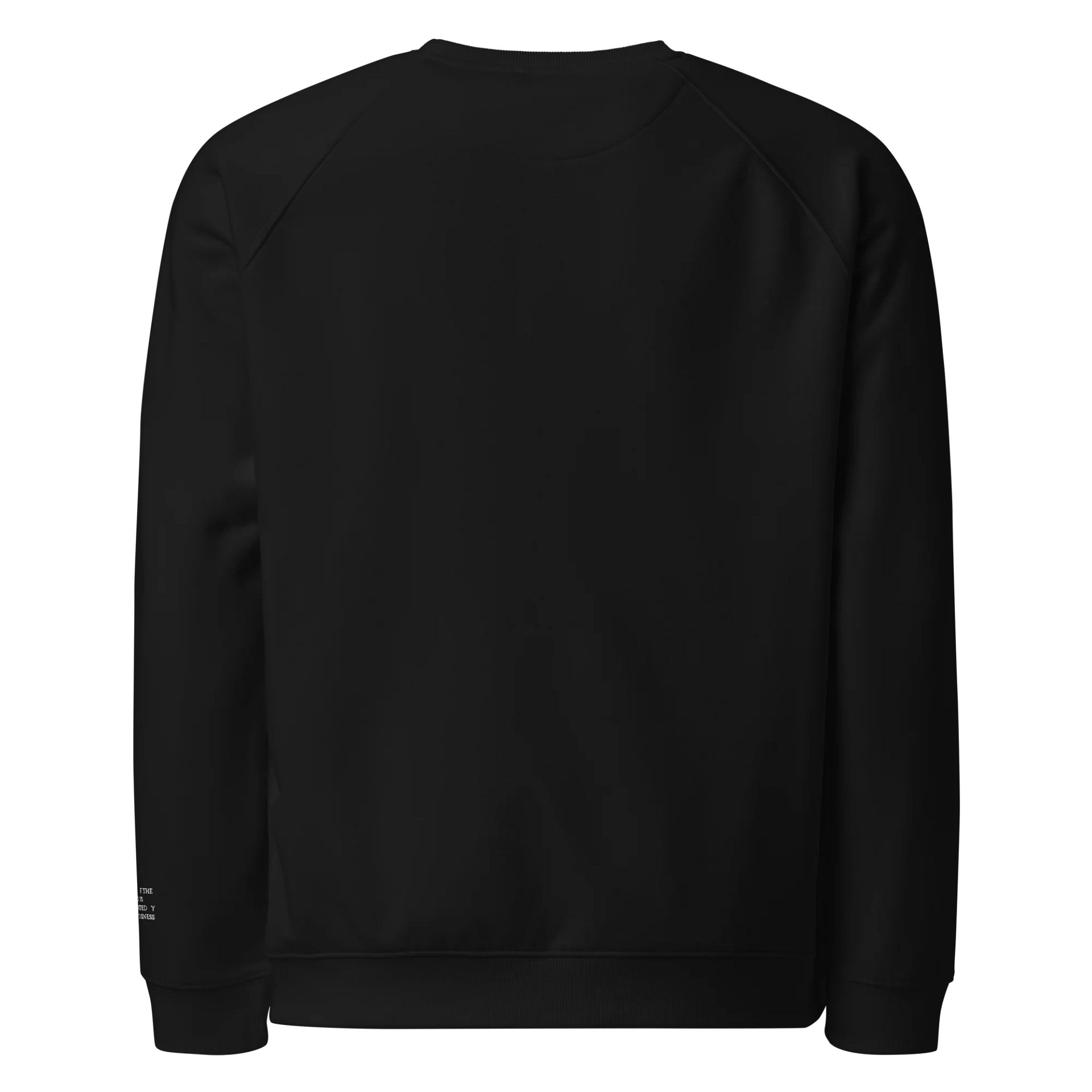 100 % Organic Cotton Raglan Shirt Shirt - Ua Mau Ke Ea O Ka Aina I Ka Pono product image (2)