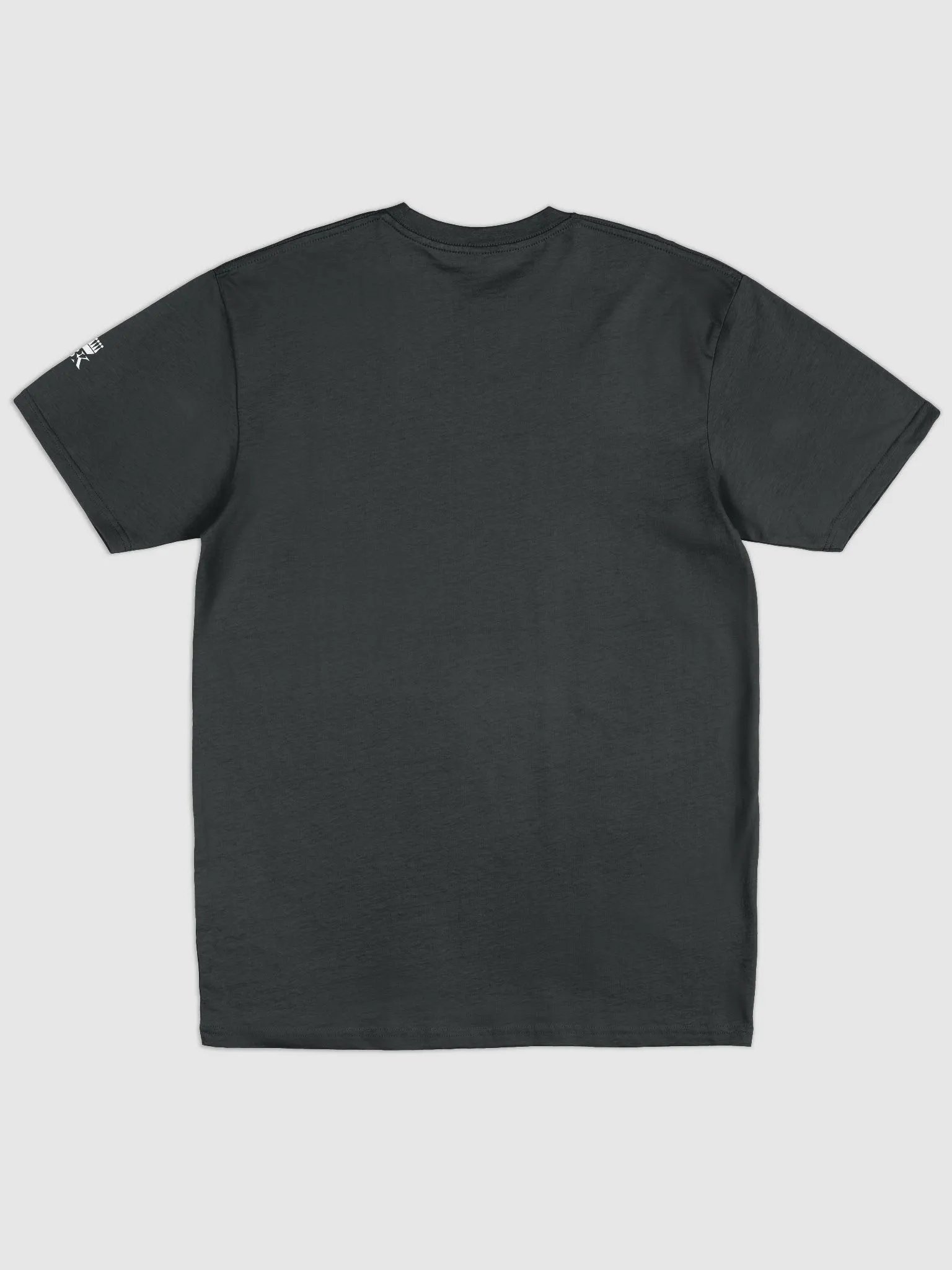 I put the 'pro' in procrastination Oversized T-shirt product image (3)