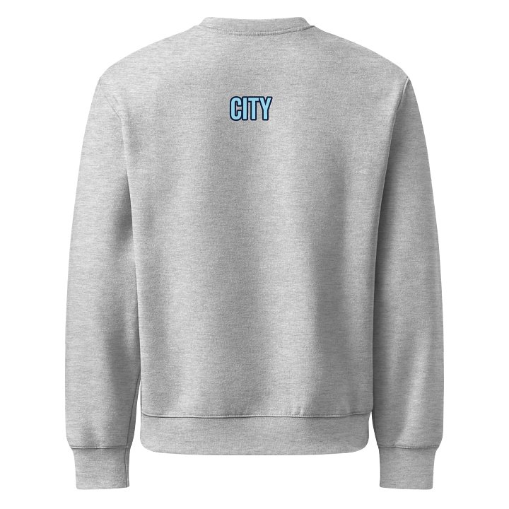 QC oversized sweatshirt product image (6)