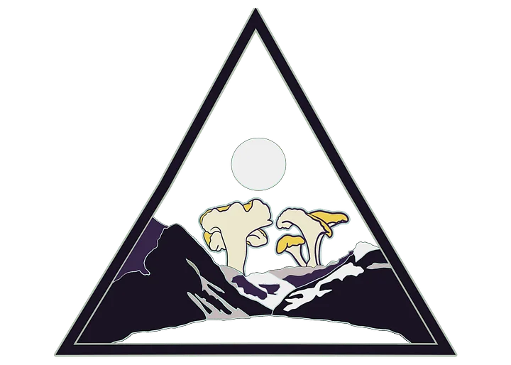Midnight Mushrooms Tshirt product image (2)