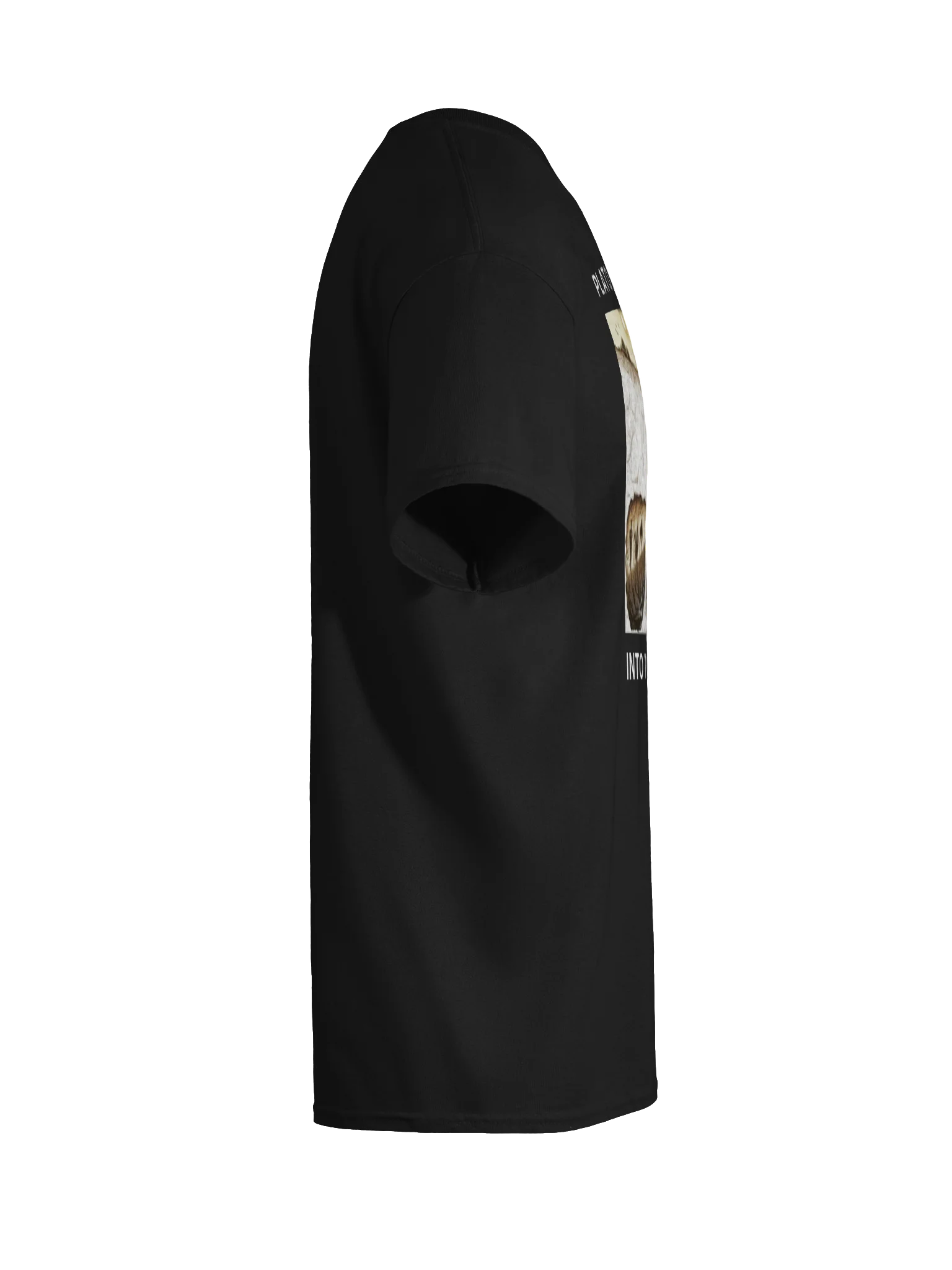 PLATO LET ME BACK INTO THE CAVE PLS product image (118)