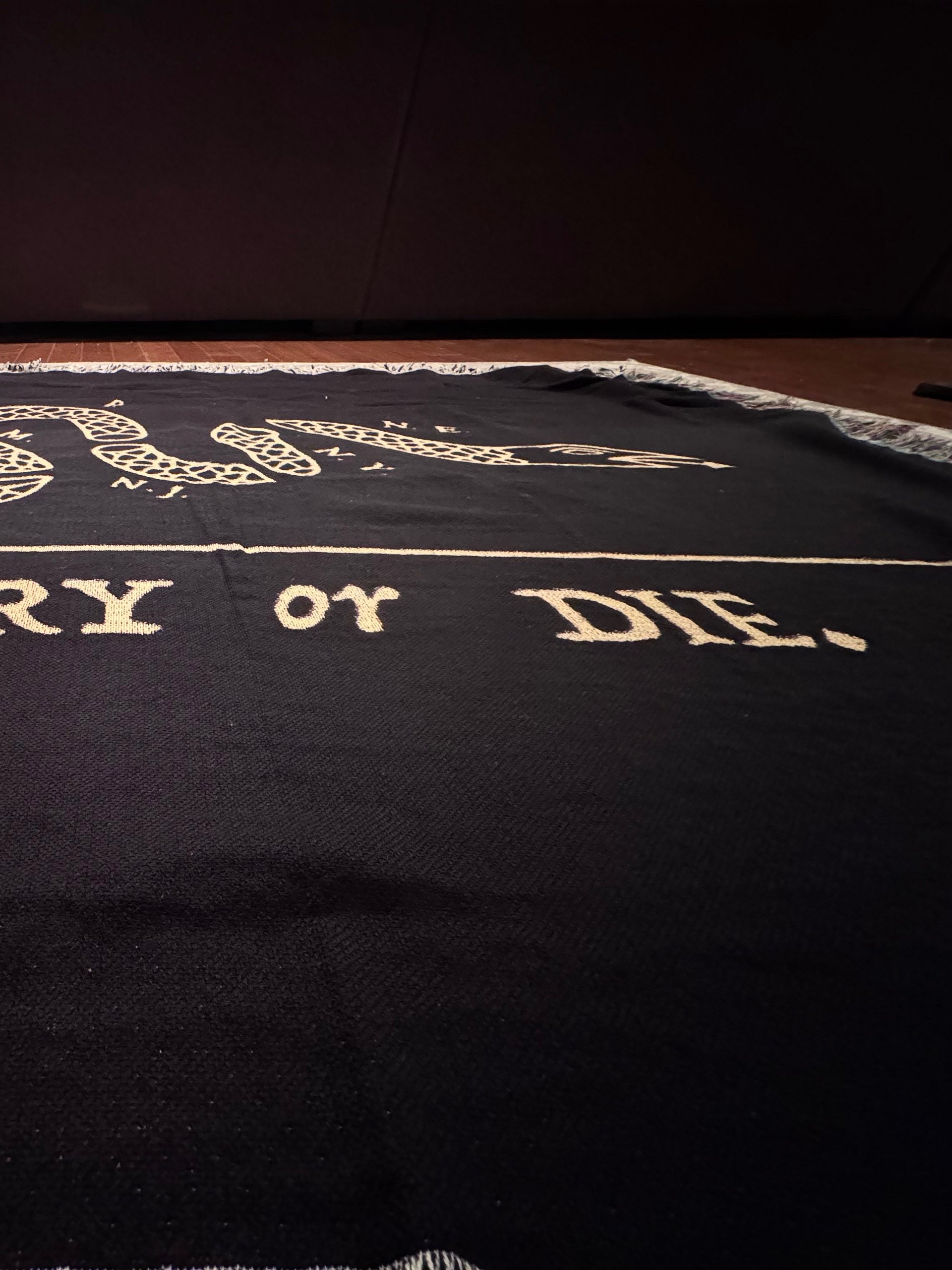 History or Die Picnic Blanket product image (5)