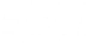4911 CyberKnights