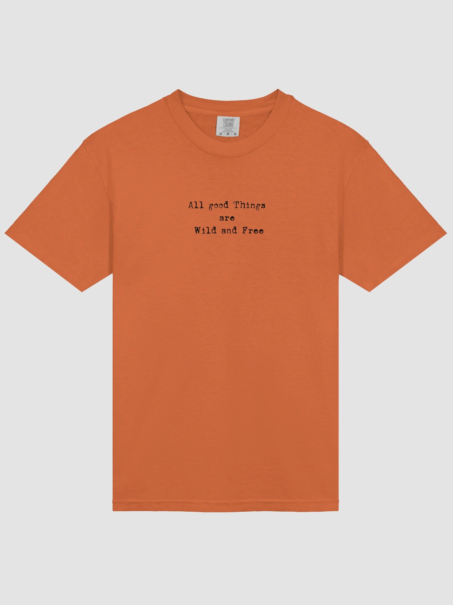 Cat Wisdom T Shirt product image (104)