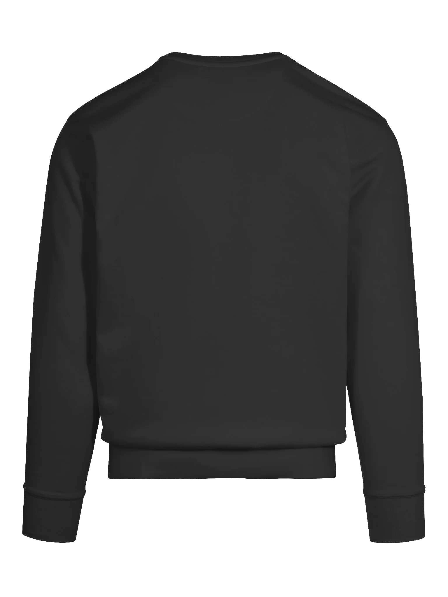 ArjanCodes Sweatshirt product image (11)