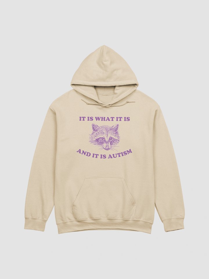 It is what it is raccoon Hoodie product image (3)