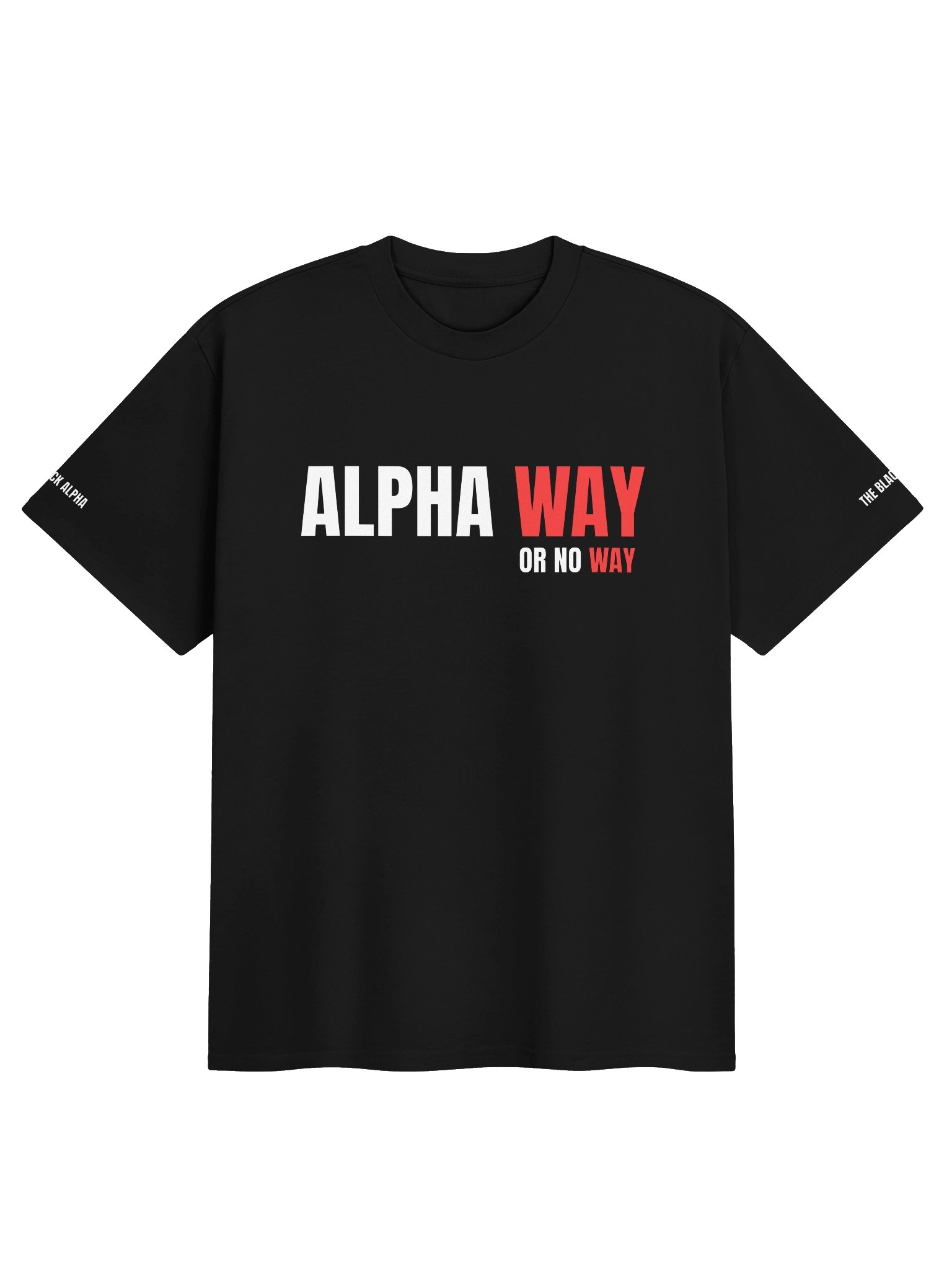 Alpha Way Heavy Tee product image (1)