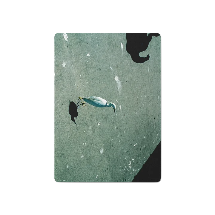 Snowy Egret Playing Cards product image (1)