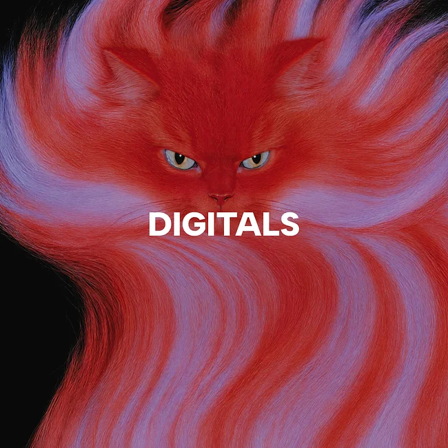 Digital Prints