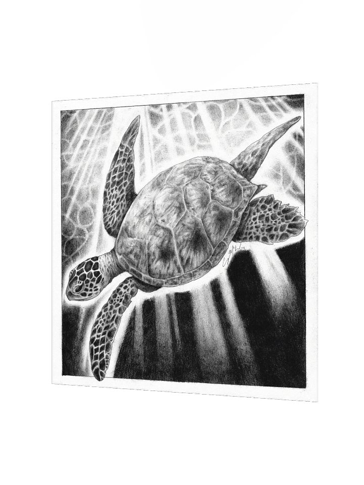 "Sea Turtle" product image (2)