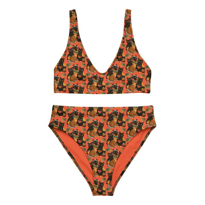 Ethereal Cat High-Waisted Bikini Set product image (1)