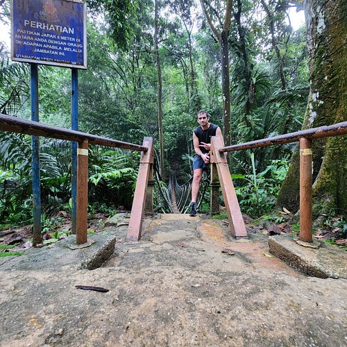 Went for run, got lost in jungle 😂 
#kualalumpurmalaysia🇲🇾 #kualalumpur #malaysia #trailrunning #s34ntravels