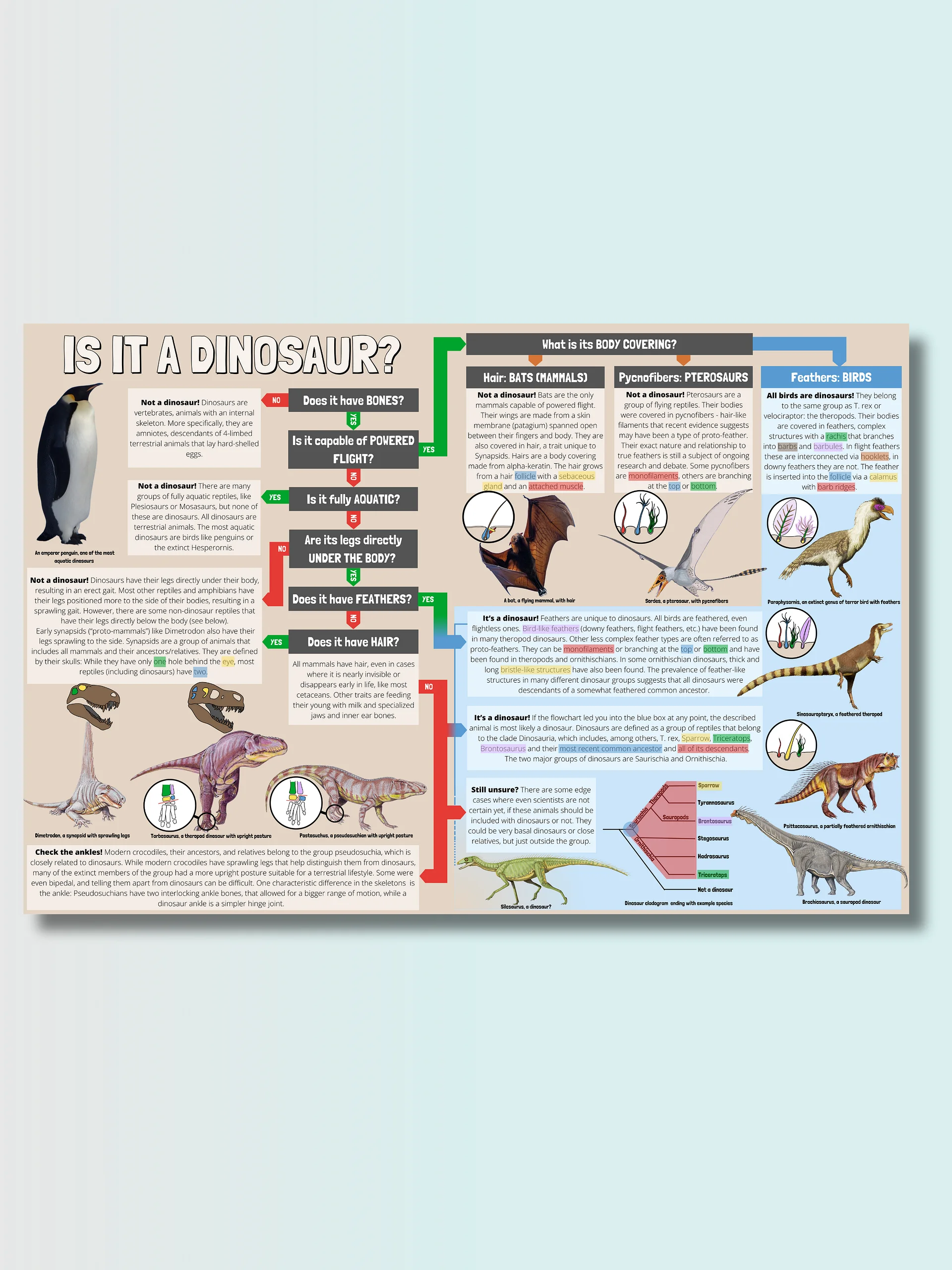 The Time Traveler's Guide To Dinosaur Identification product image (1)