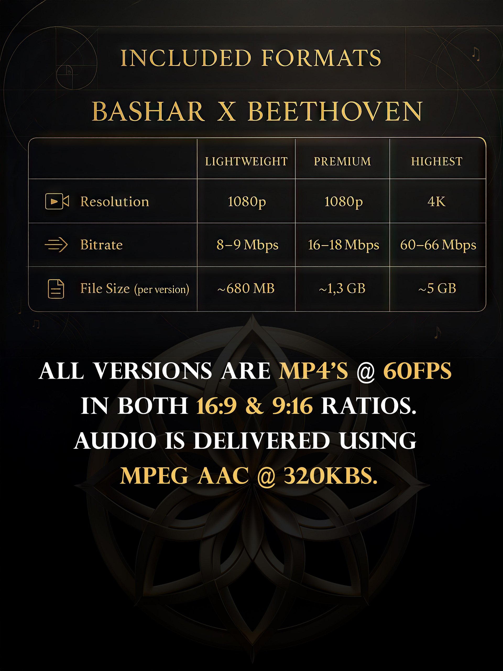 Bashar x Beethoven: A 4K Meditative Loop for Shifting Consciousness product image (8)