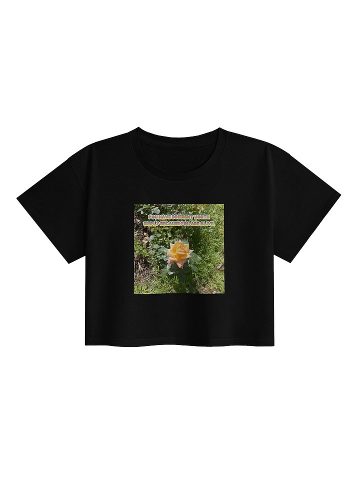100% Cotton Inherent Worth Crop product image (1)
