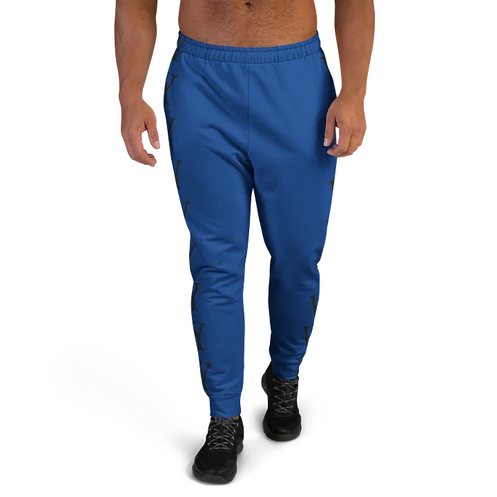 VY Dark Cerulean Pattern Joggers product image (2)