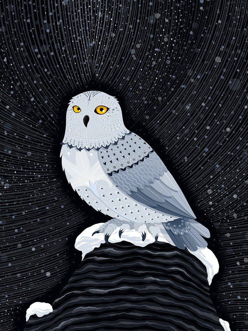 Snow Leopard and Snowy Owl Art Print product image (6)