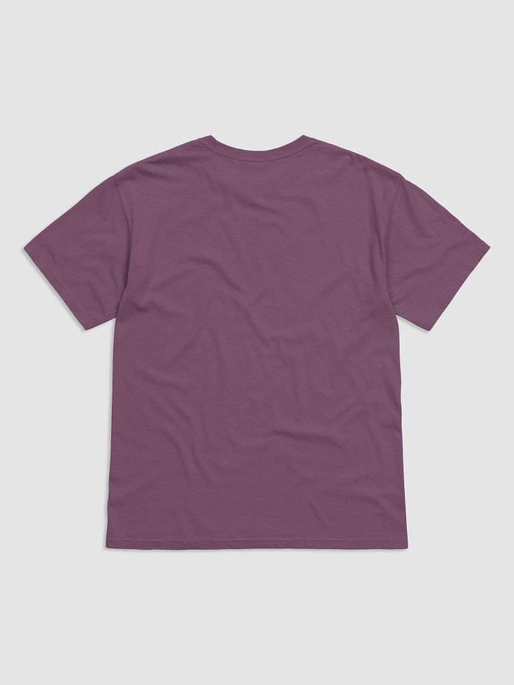 It's Not Just a Phase- Non Binary T Shirt product image (11)