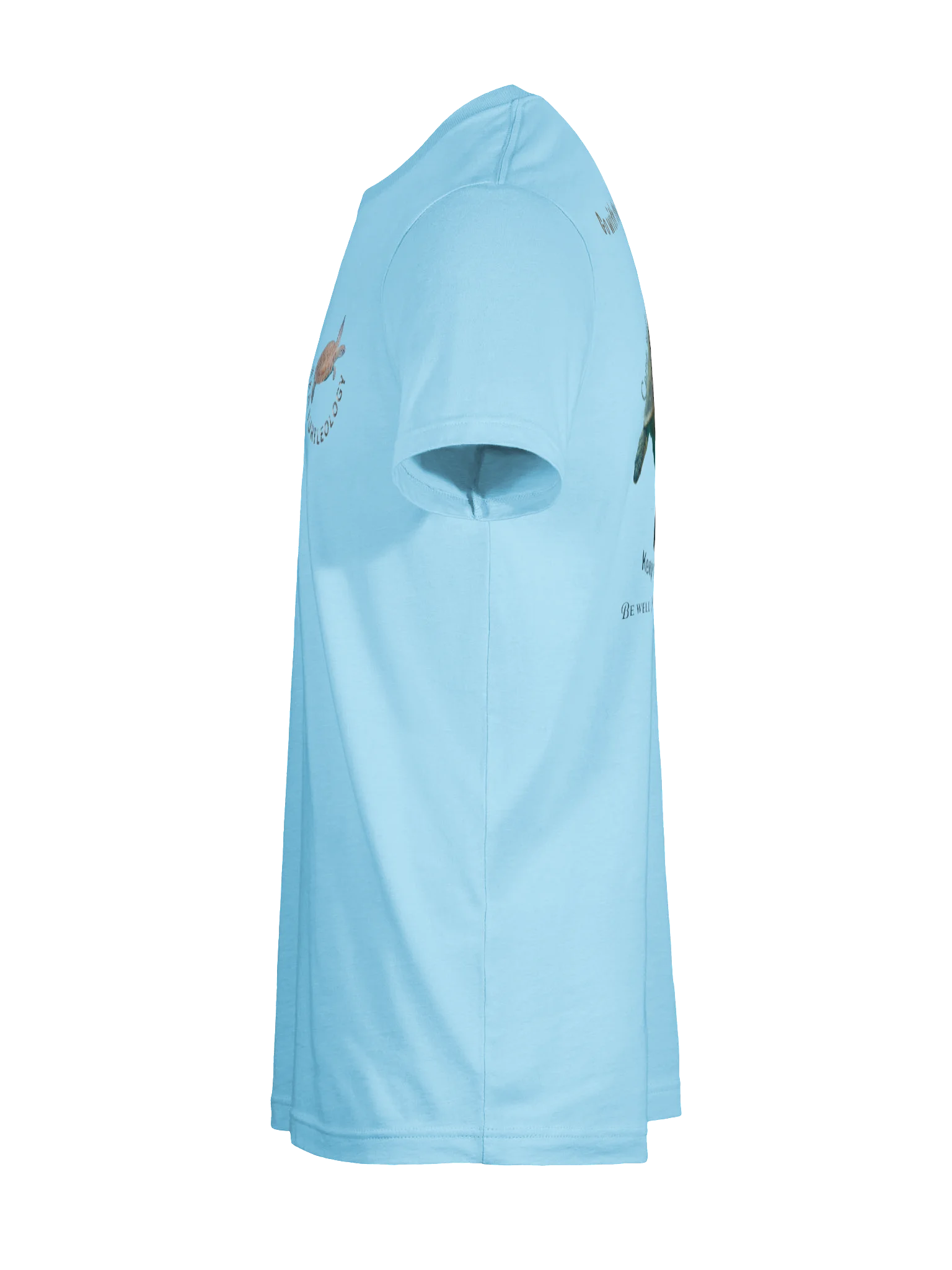 sea Turtleology product image (72)