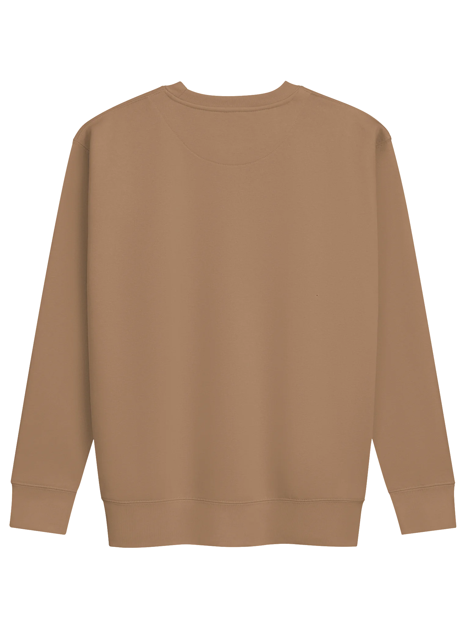 Chatty Campfire Premium Sweatshirt | Cozy Chatty Fall Collection product image (26)