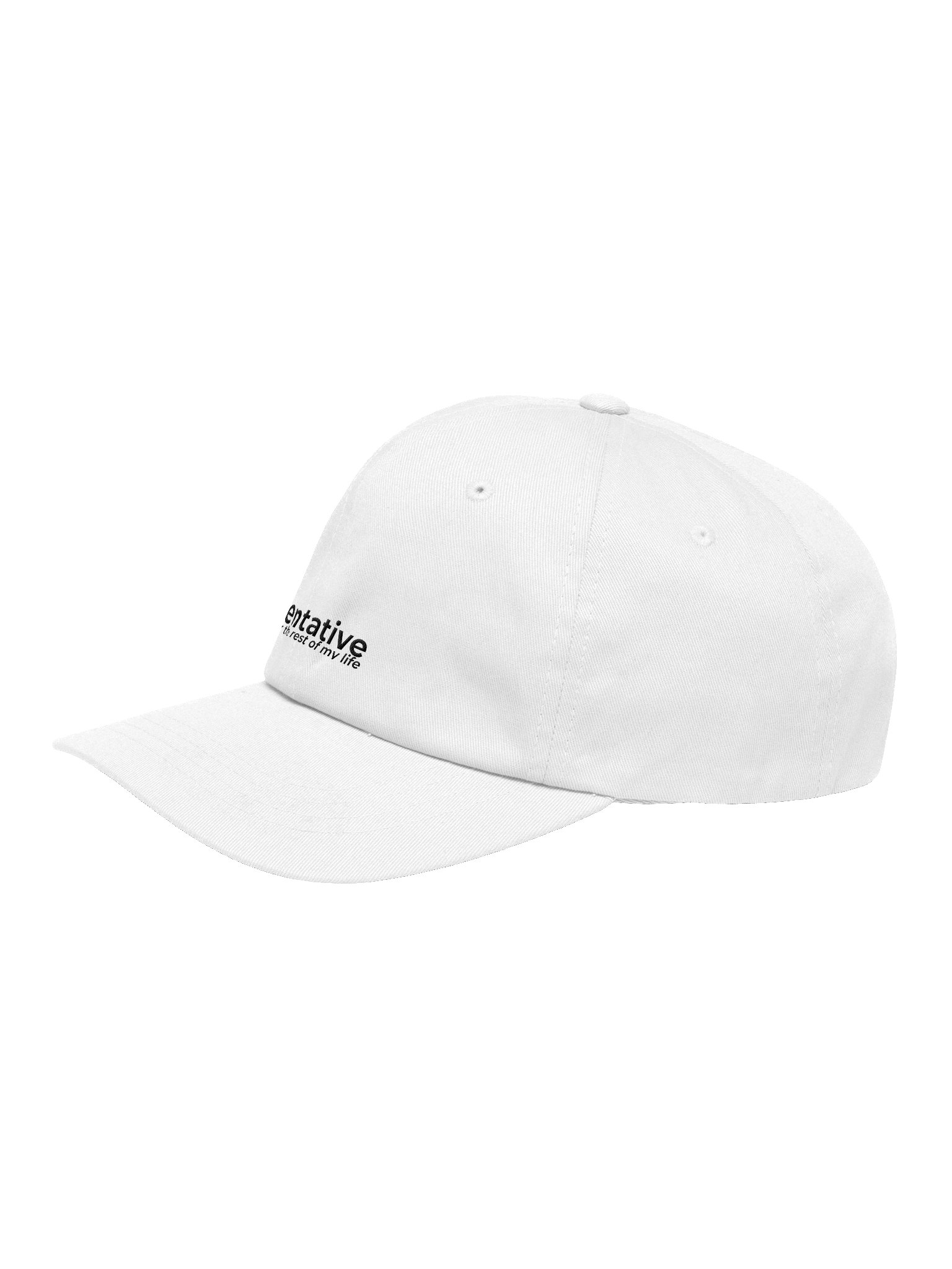 Tentative Hat product image (3)