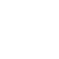lessfest merch store