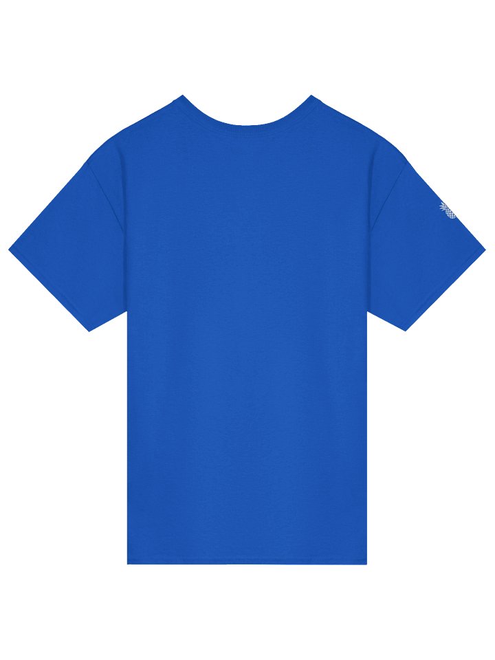 Boxy Fit Lucky Pineapple® Minimalist Sleeve Solid Color Unisex T-Shirt (Jewel Tone Colors) product image (14)
