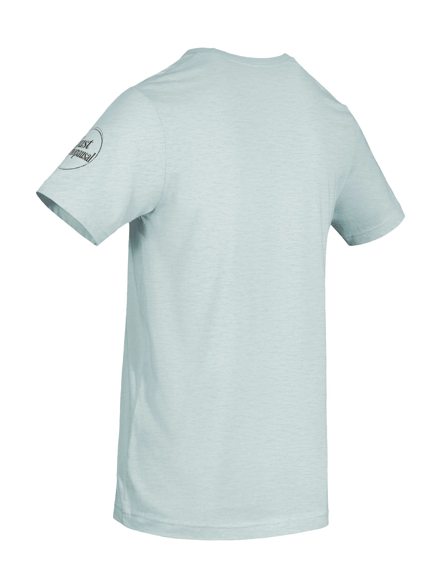 Hot Flash Springs Tee product image (8)