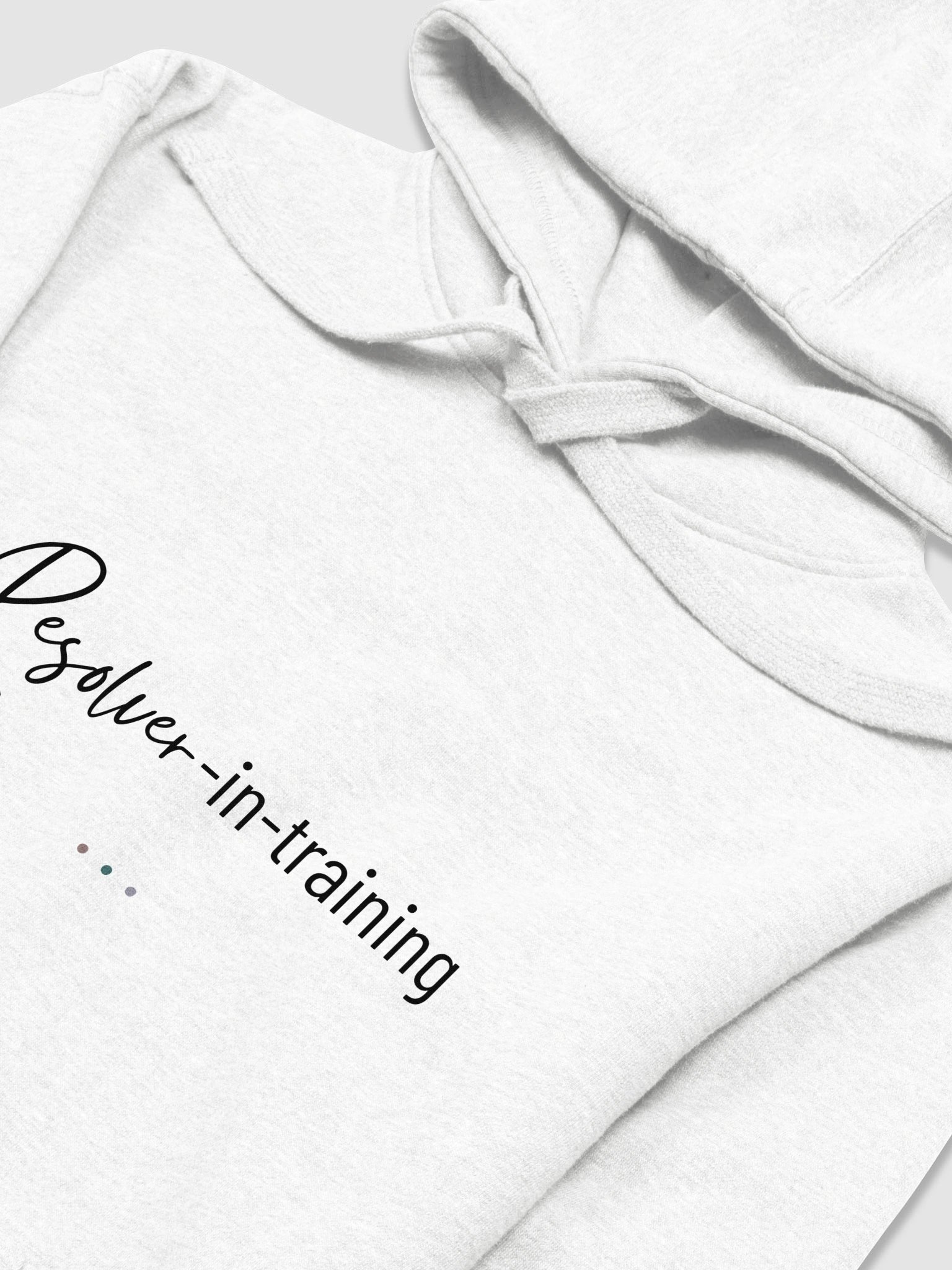 Resolver-in-Training Hoodie product image (2)