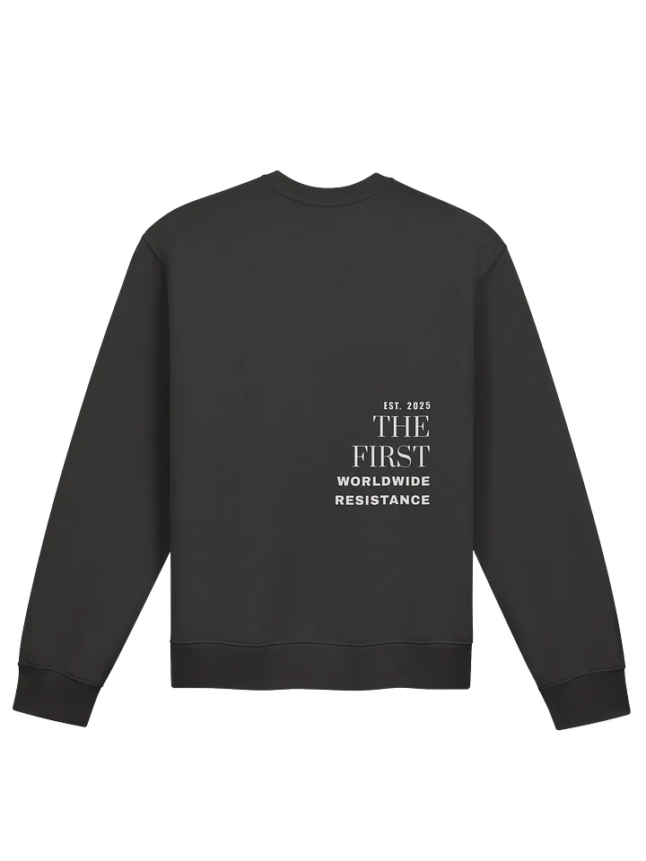 F. ICE!!! RELAXED OVERSIZED SWEATSHIRT product image (2)